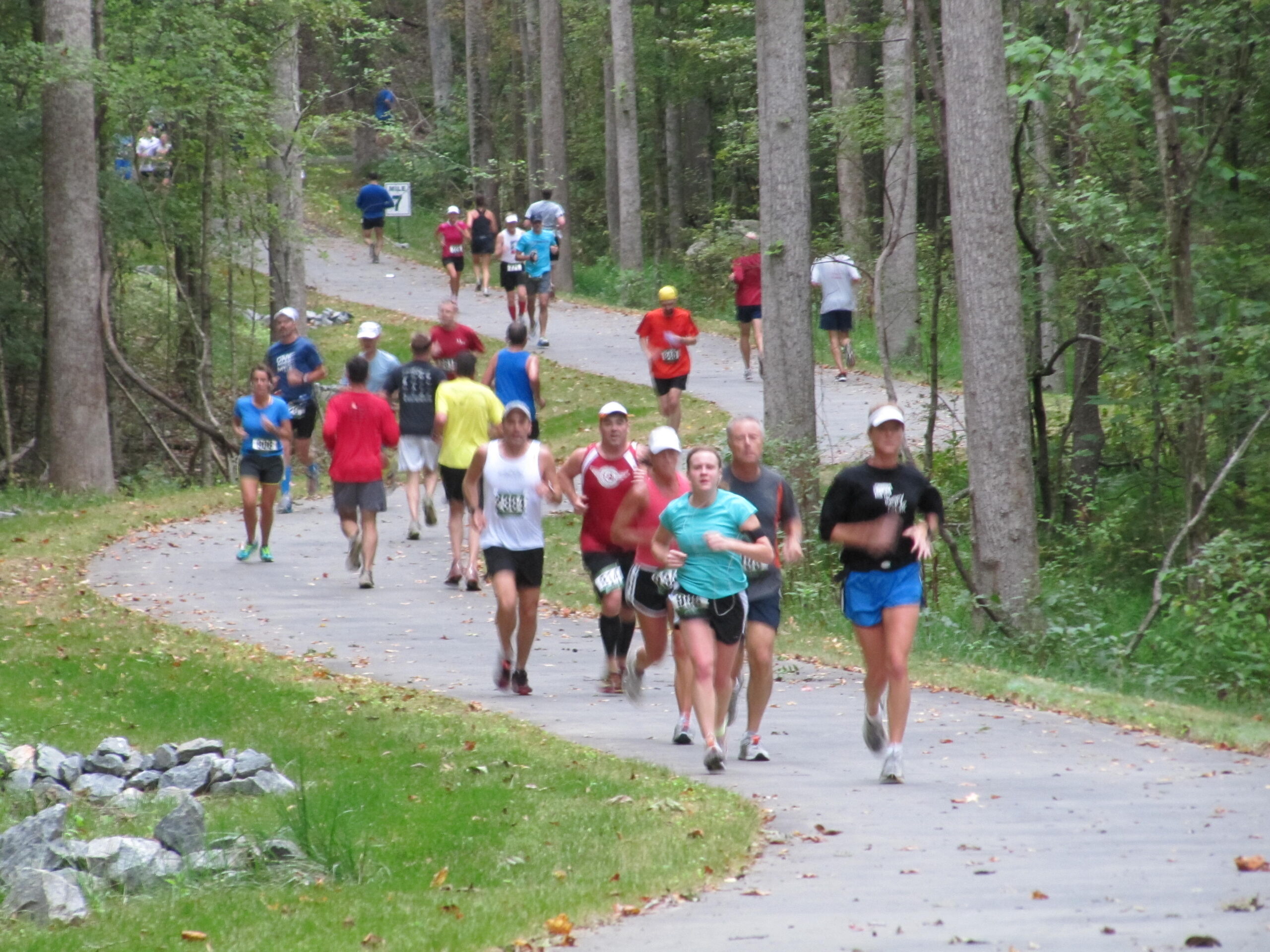 Runners on the greenway