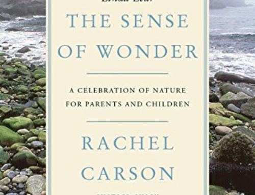Nature Reading: “The Sense of Wonder” by Rachel Carson