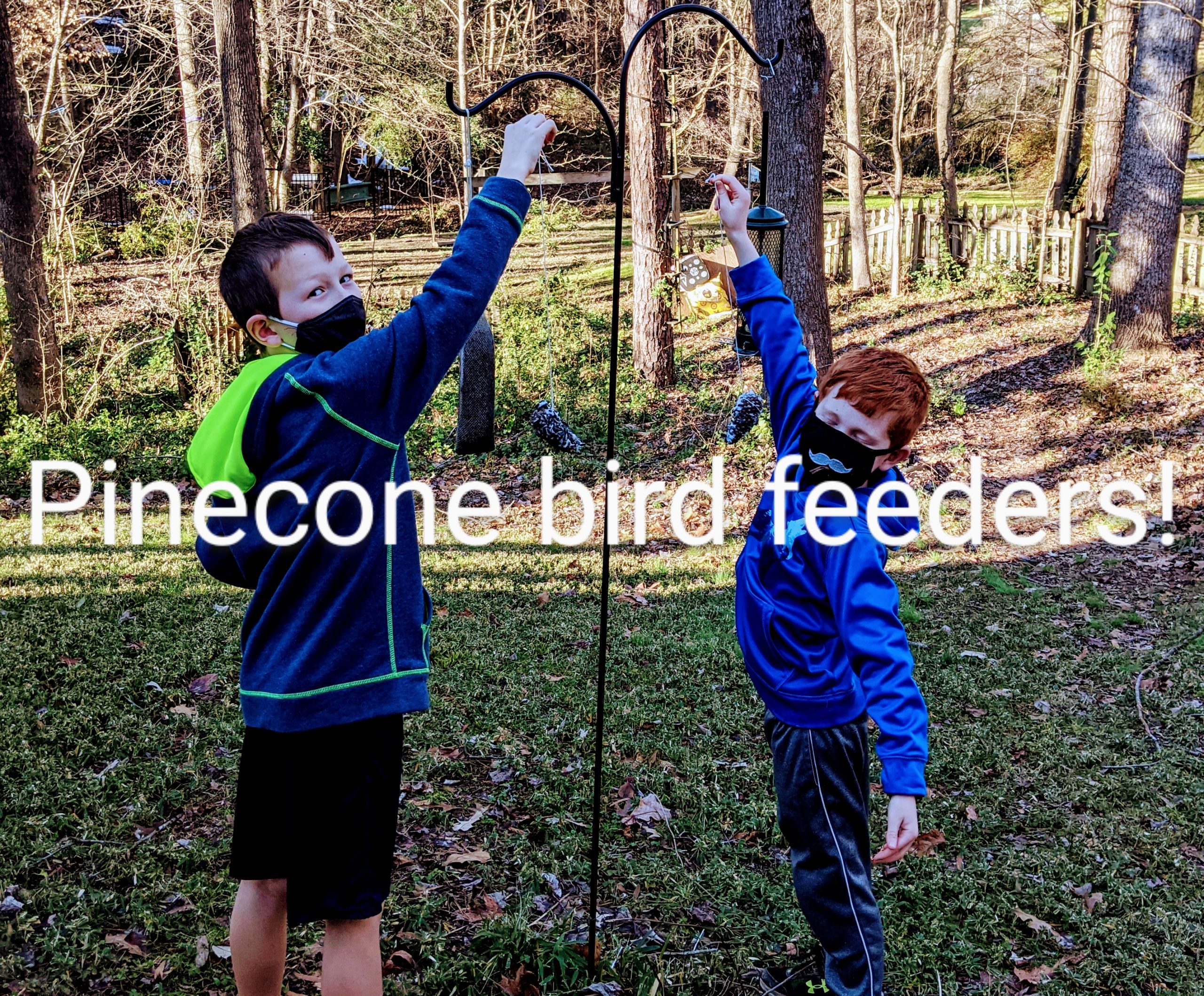 Pinecone birdfeeder