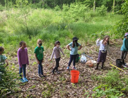 Girl Scout Troop 610 Gives Cookie Money for Pollinators