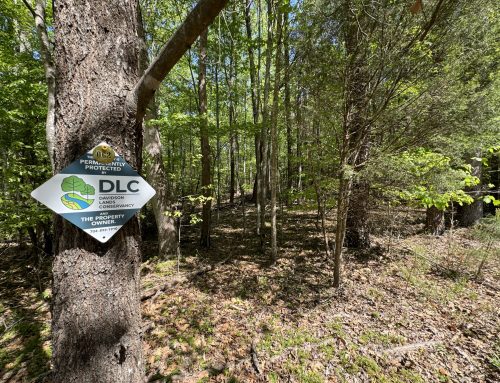 Davidson Lands Conservancy Protects 5.6 Acres Near Lake Norman State Park